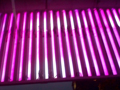 IMG00730-20111123-1721